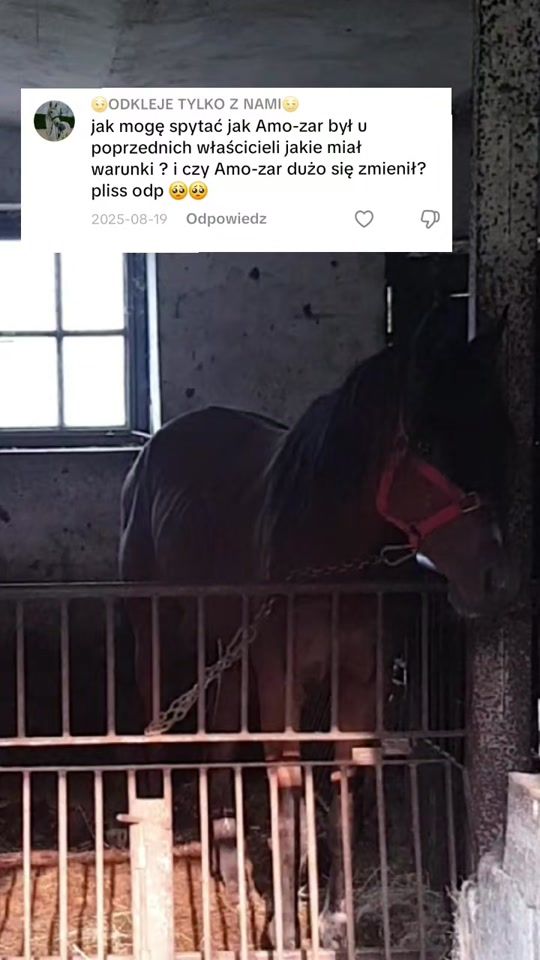 TikTok video thumbnail by natalia_f_a_