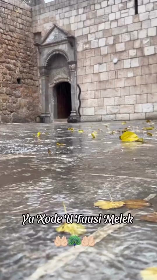 TikTok video thumbnail by farhad.khatari1