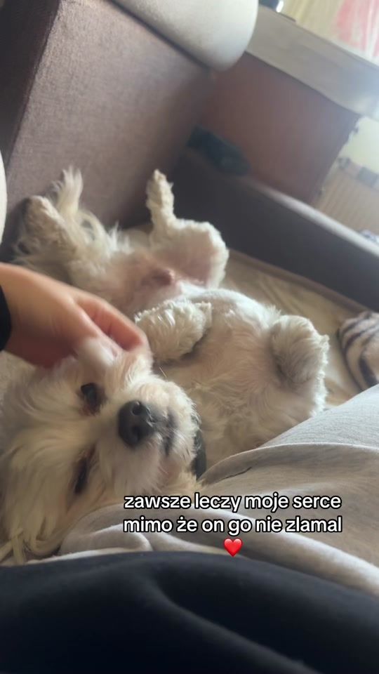 TikTok video thumbnail by laurka_vb0