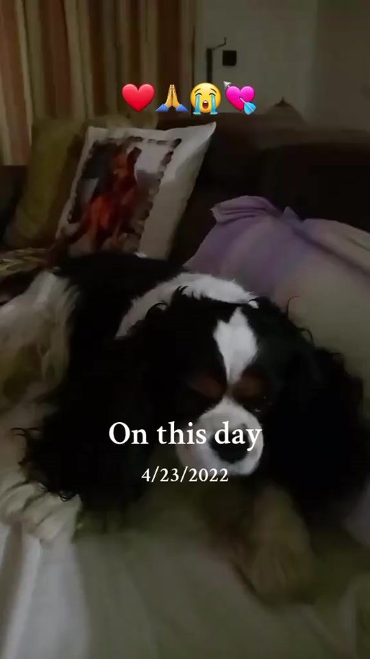 TikTok video thumbnail by verasumic