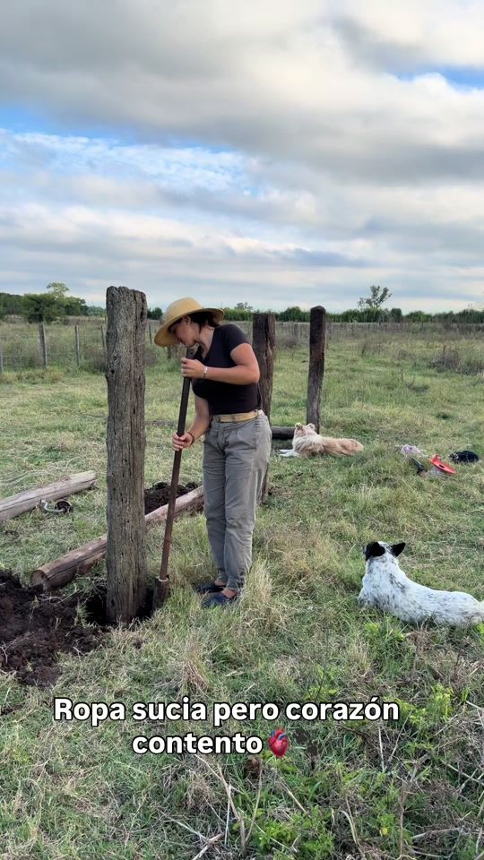 TikTok video thumbnail by paulalorber