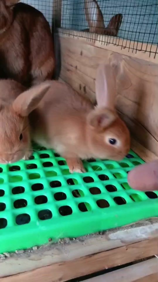 TikTok video thumbnail by ndiayeneloft4