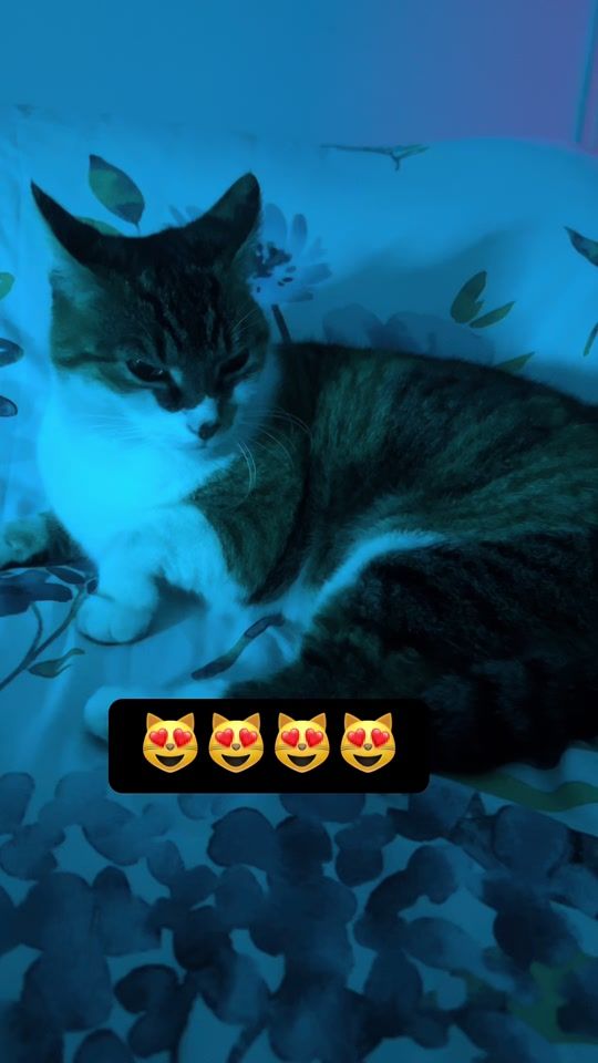 TikTok video thumbnail by supreme8824
