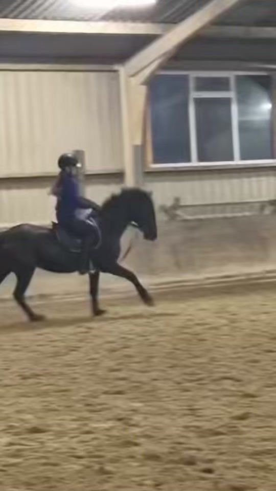 TikTok video thumbnail by eq_milou0