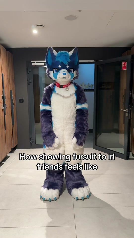 TikTok video thumbnail by furryfrodo