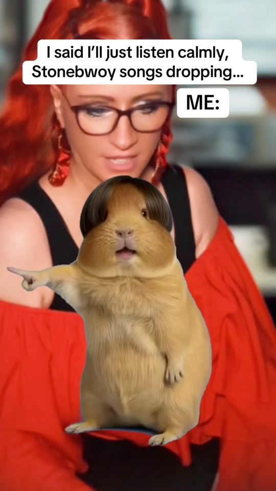 TikTok video thumbnail by sunny_sunshines_platform