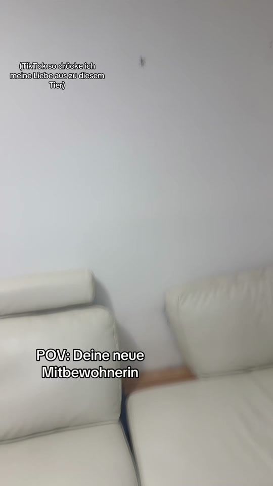 TikTok video thumbnail by offical.daaaarrling