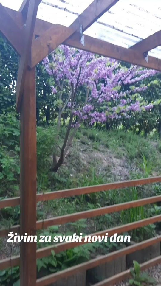TikTok video thumbnail by mari.jane572