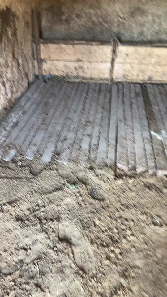 TikTok video thumbnail by madutu20