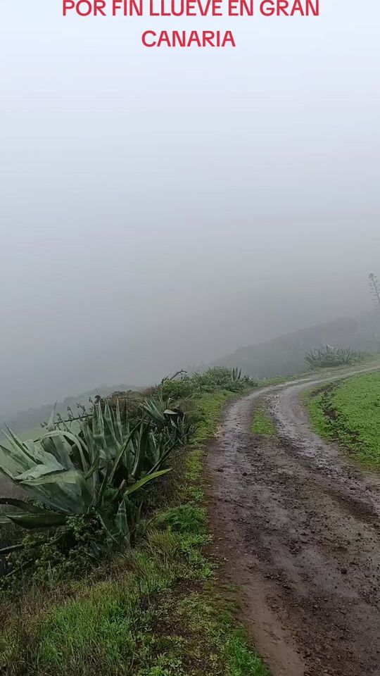 TikTok video thumbnail by antonioperez634