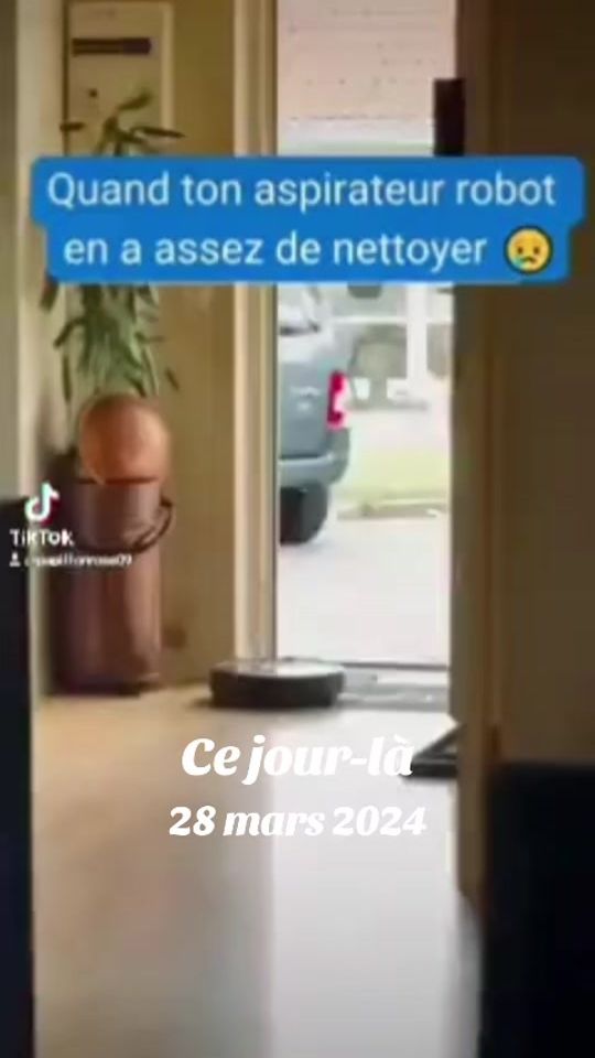 TikTok video thumbnail by papillonrose09
