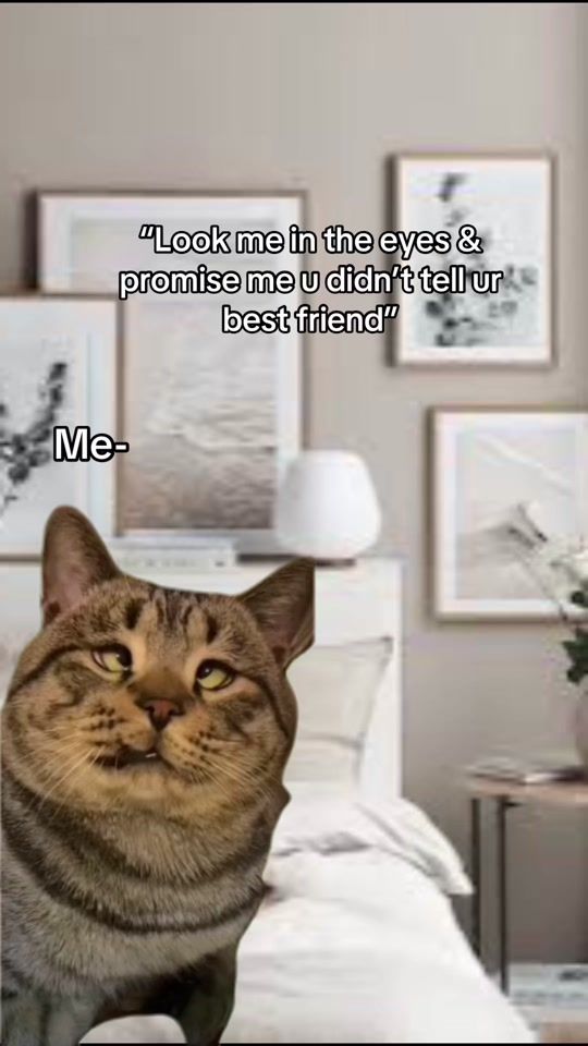 TikTok video thumbnail by unknownxh3