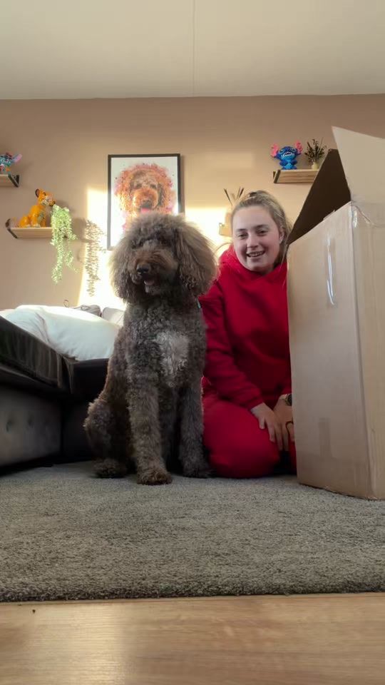 TikTok video thumbnail by strongwithbailey