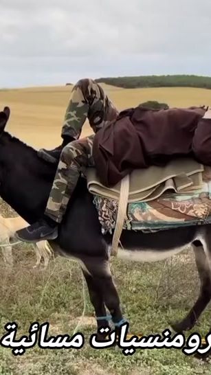 TikTok video thumbnail by ech_da5lek