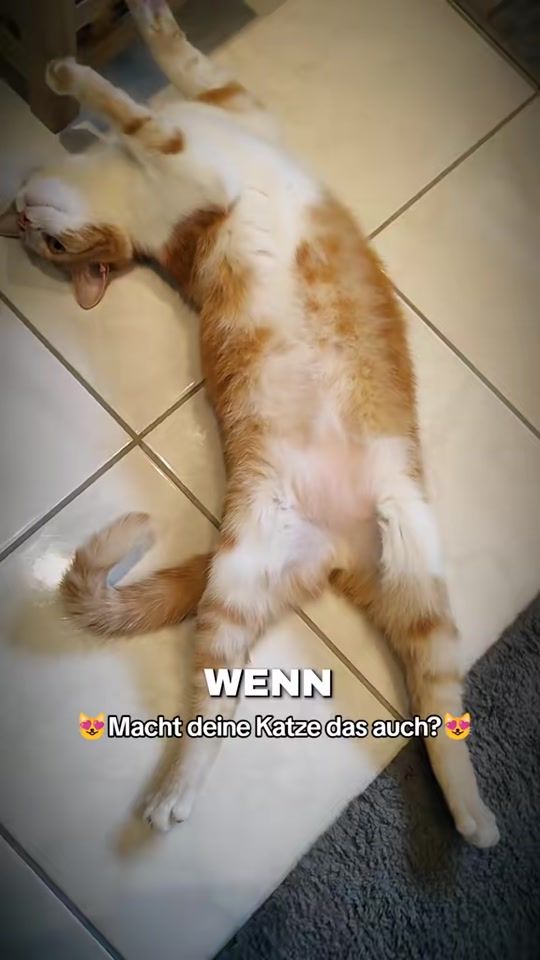 TikTok video thumbnail by _hejdine_