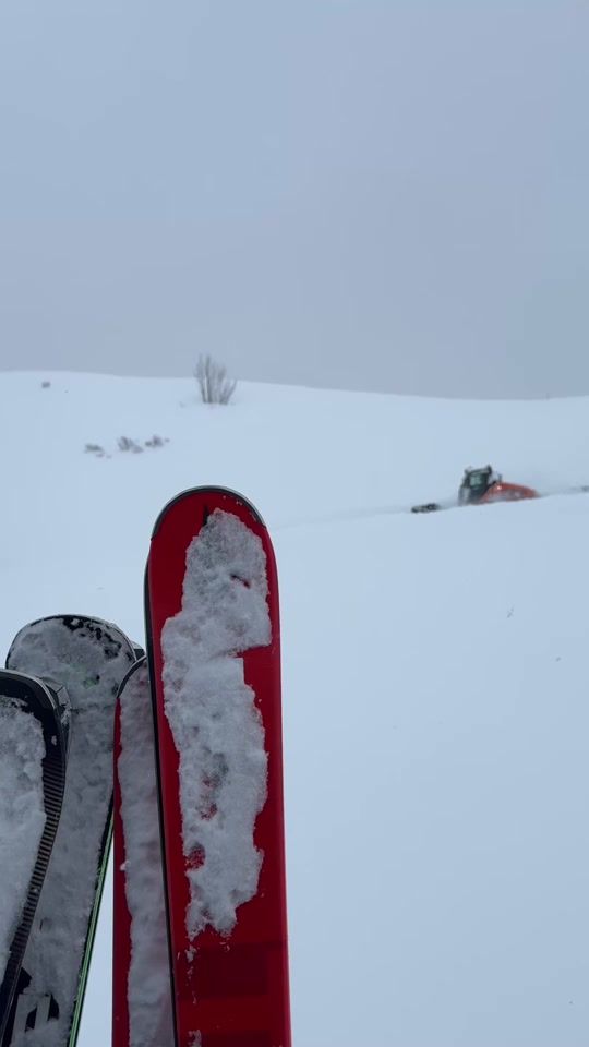 TikTok video thumbnail by mts.wslr