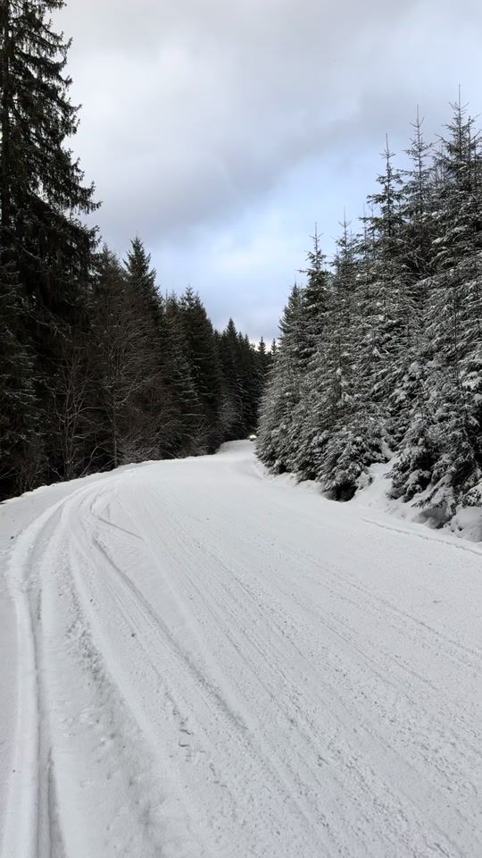 TikTok video thumbnail by simiionbogdandragos