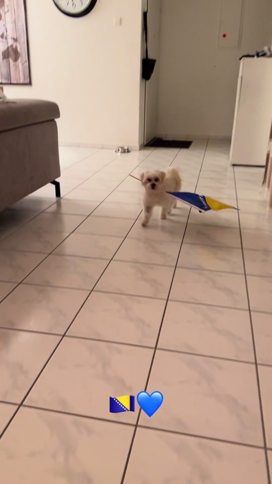 TikTok video thumbnail by almira_energy