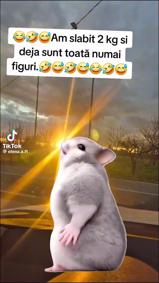 TikTok video thumbnail by alaburca525