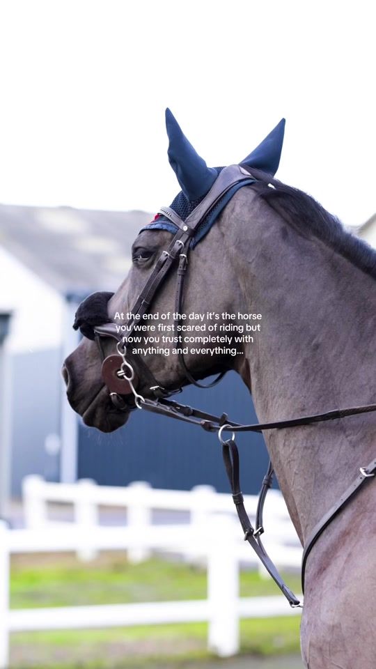 TikTok video thumbnail by sophiefarrantshowjumping