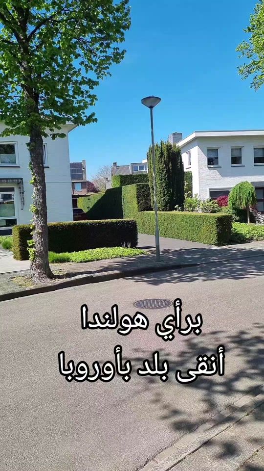 TikTok video thumbnail by abidakazzaz