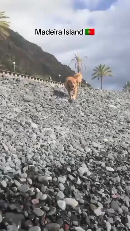 TikTok video thumbnail by droc.10