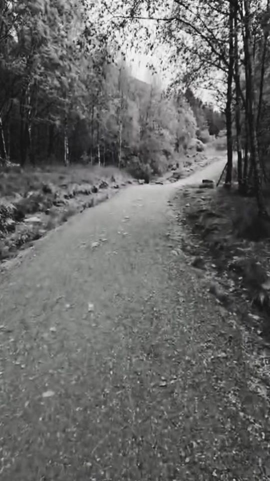 TikTok video thumbnail by live.your.life.83