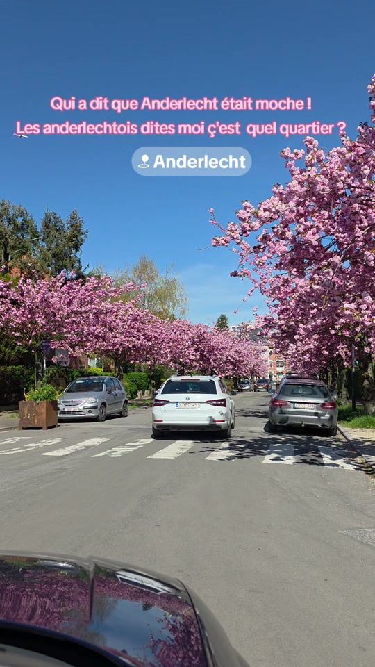 TikTok video thumbnail by philosophethug