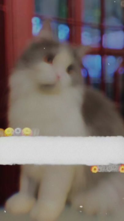 TikTok video thumbnail by original_zeesho