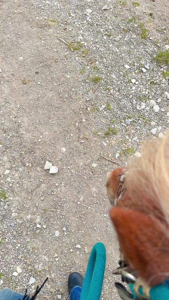 TikTok video thumbnail by 7.v7a6