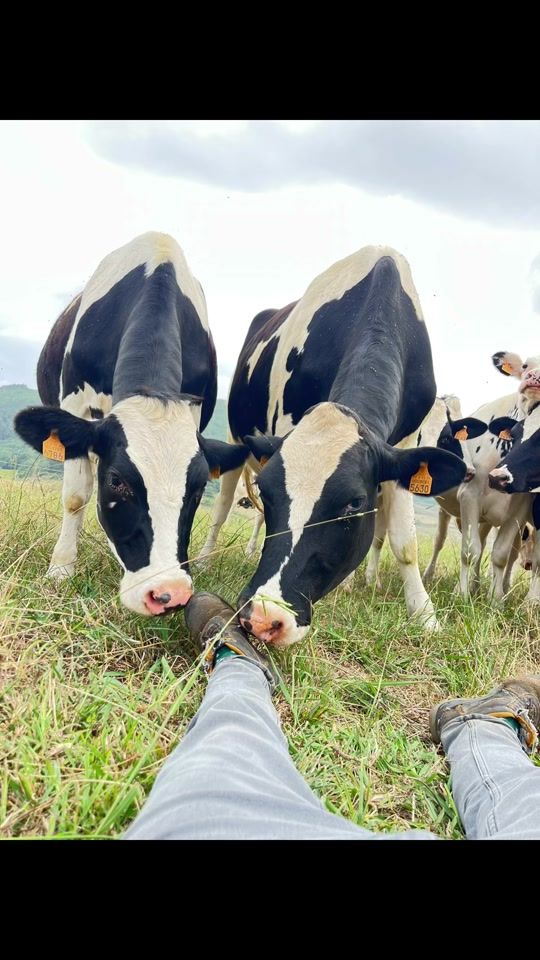 TikTok video thumbnail by agricunha