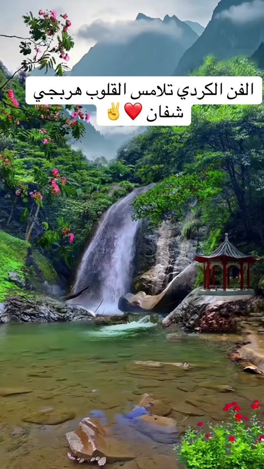 TikTok video thumbnail by suadqanbar