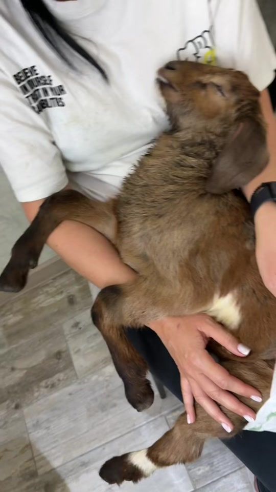 TikTok video thumbnail by katyshakoks