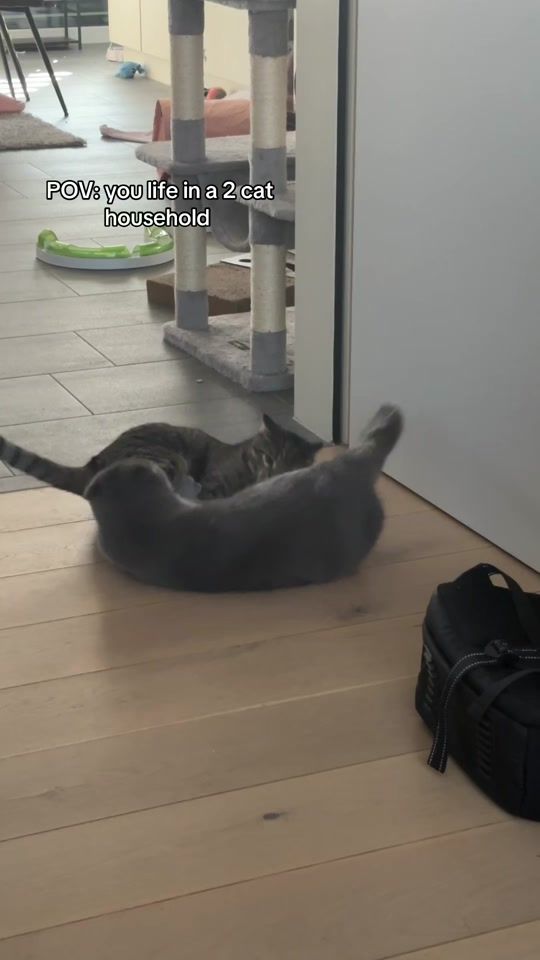 TikTok video thumbnail by nessi_2410