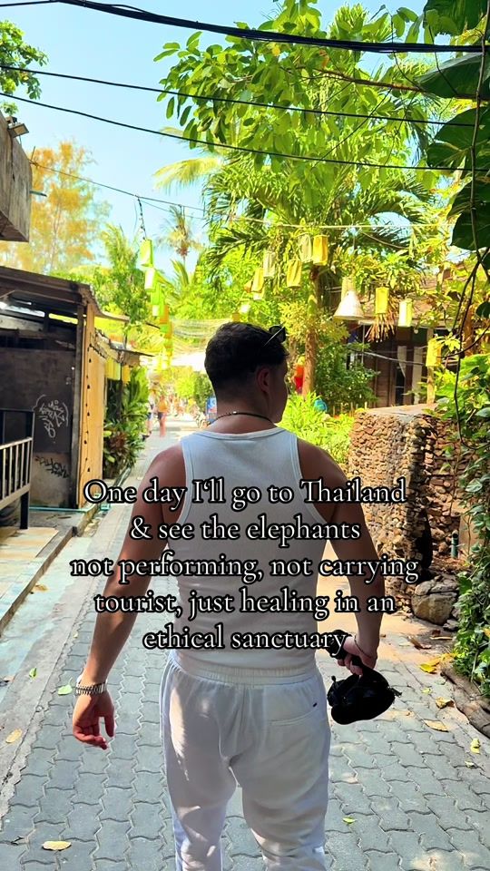 TikTok video thumbnail by flo.bruckert
