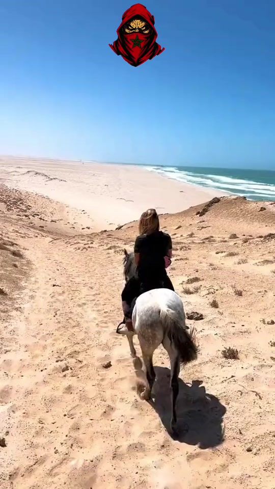 TikTok video thumbnail by 212_maroc_united