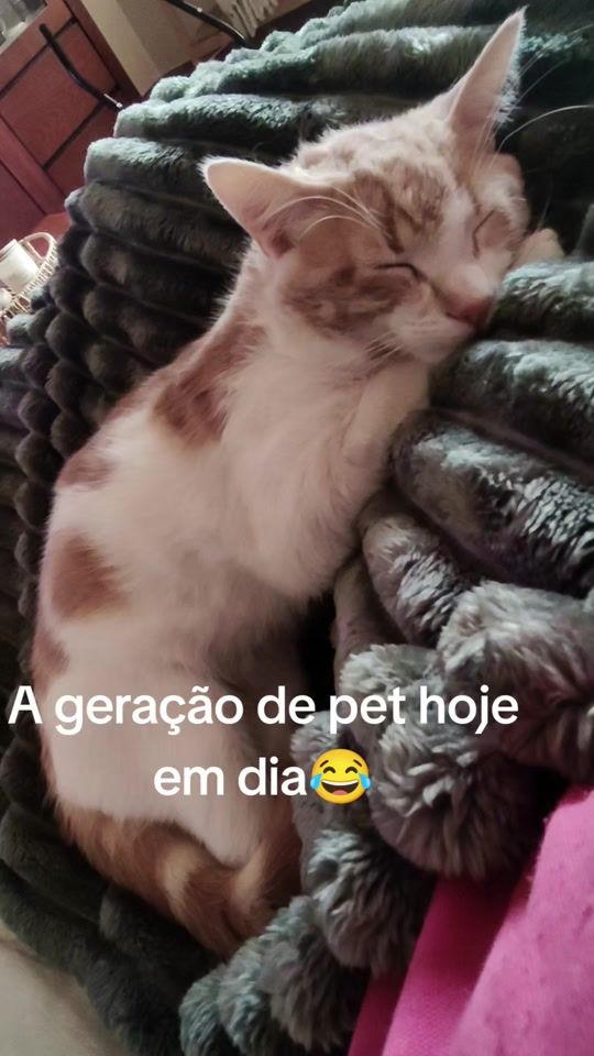 TikTok video thumbnail by catia_filipe