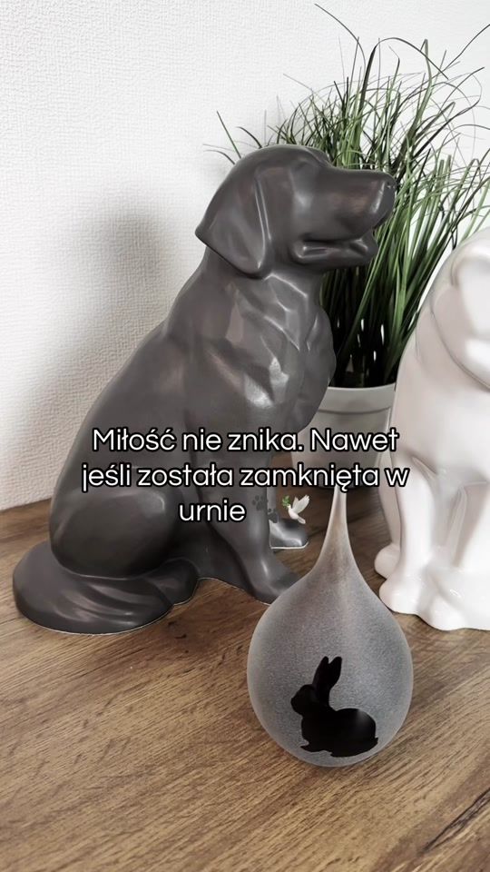 TikTok video thumbnail by damar.bizu