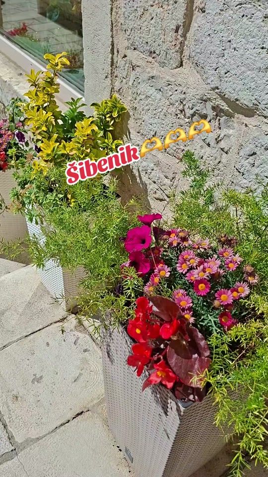 TikTok video thumbnail by user436_013
