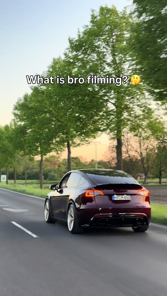 TikTok video thumbnail by sqp_hares