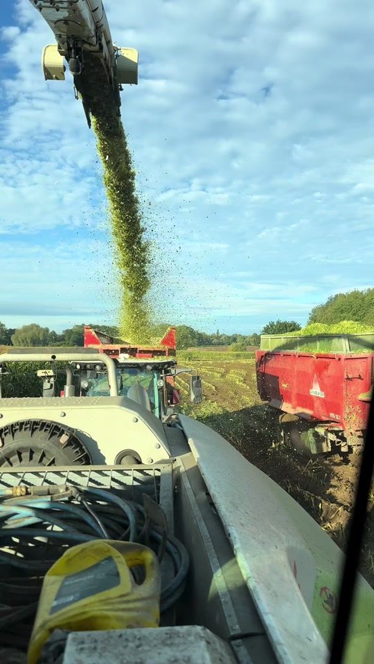 TikTok video thumbnail by agrotobiasz