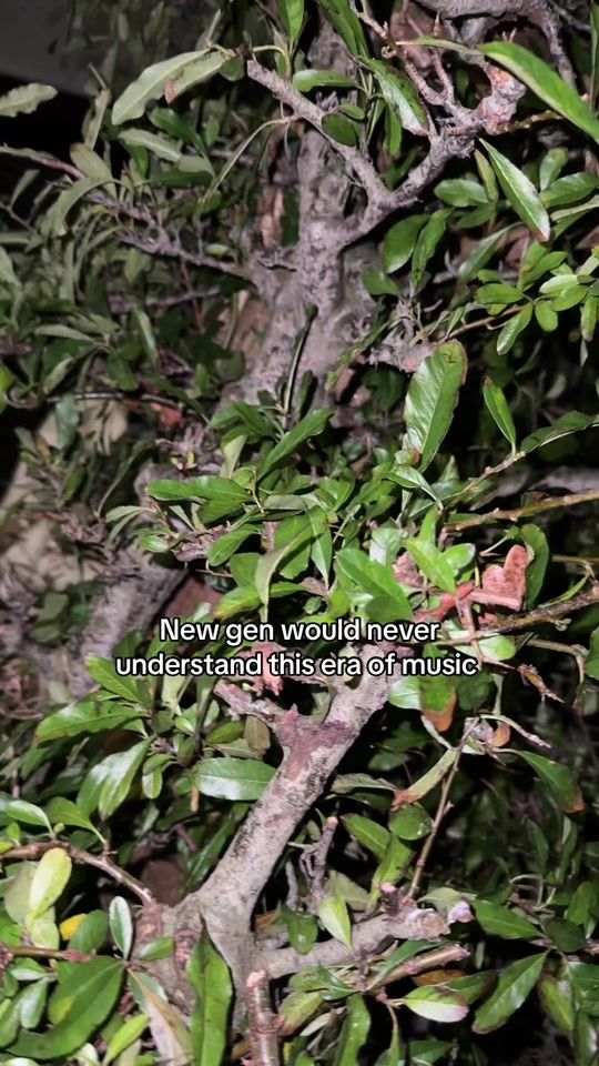 TikTok video thumbnail by jynxsol