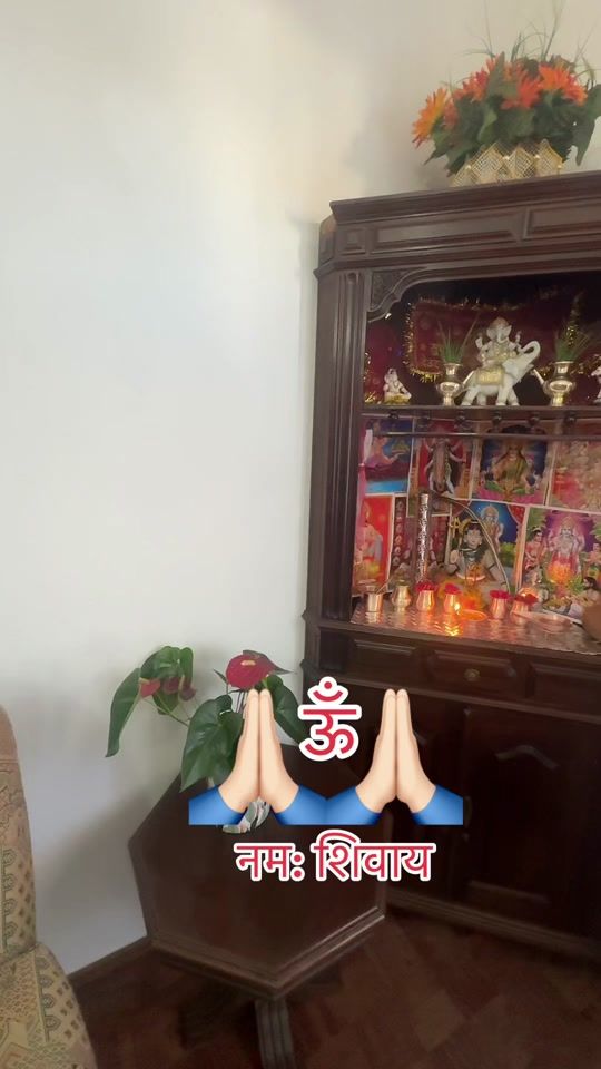 TikTok video thumbnail by bindusingh080