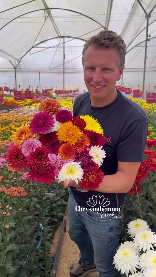 TikTok video thumbnail by petervandelft.flowers