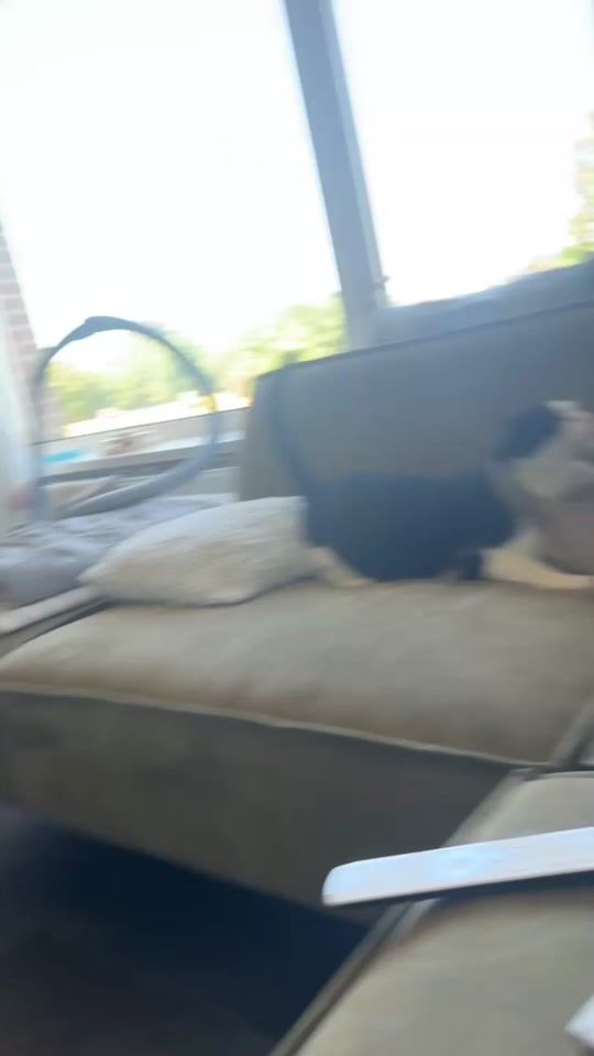 TikTok video thumbnail by lucc_vdb