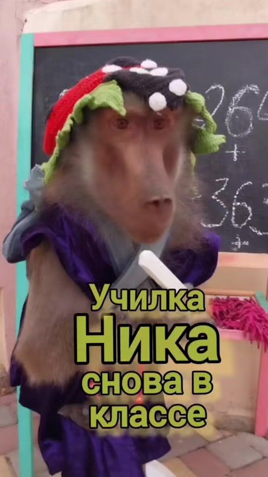 TikTok video thumbnail by mankiblog