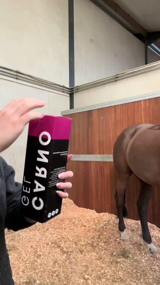 TikTok video thumbnail by carnogel_official
