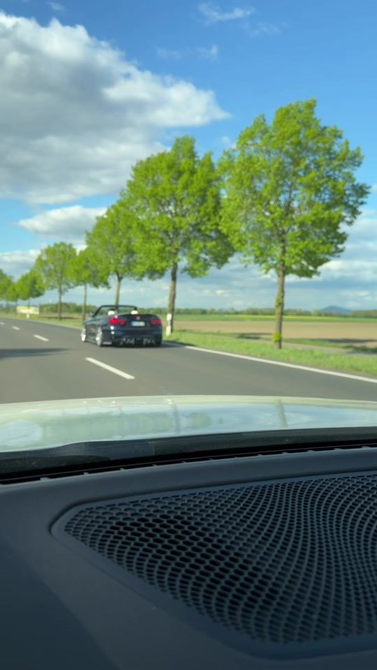 TikTok video thumbnail by sqp_hares