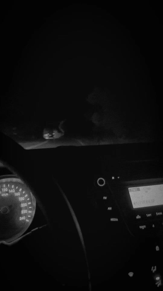 TikTok video thumbnail by vale822002