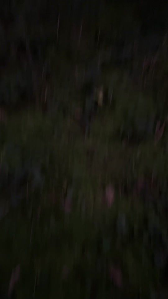 TikTok video thumbnail by kyto_45